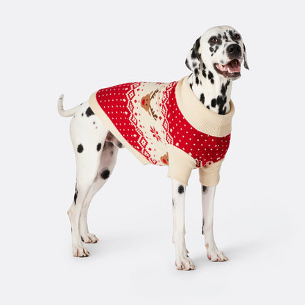 Retro Ren Röd Jultröja Till Hund