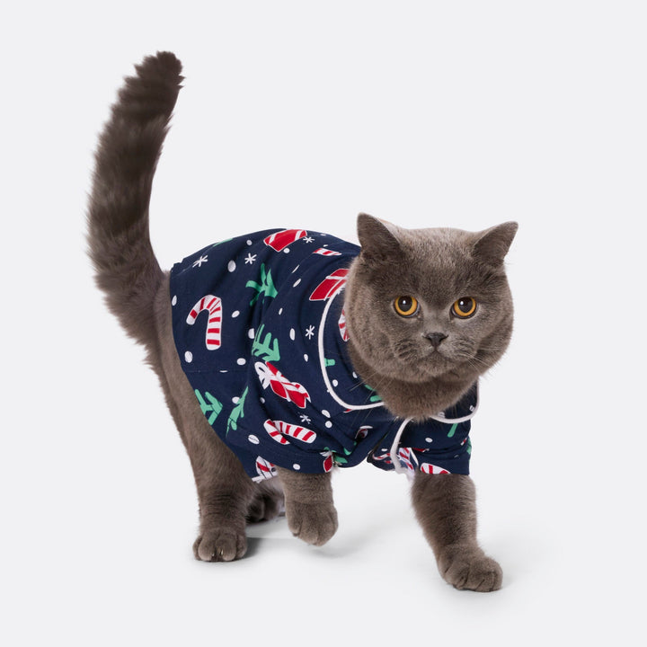 Julmönster Blå Julpyjamas Till Katt