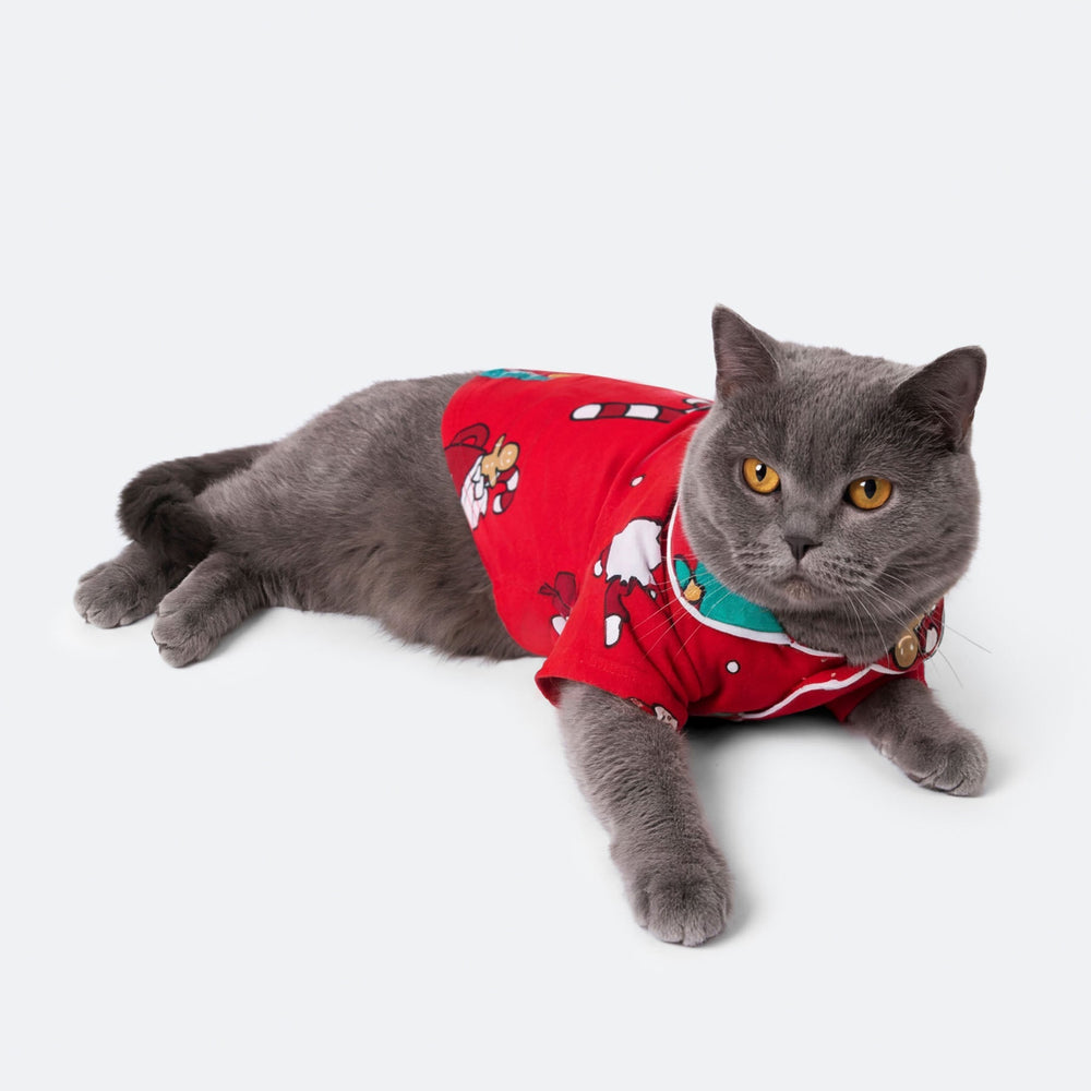 Xmas Röd Julpyjamas Till Katt