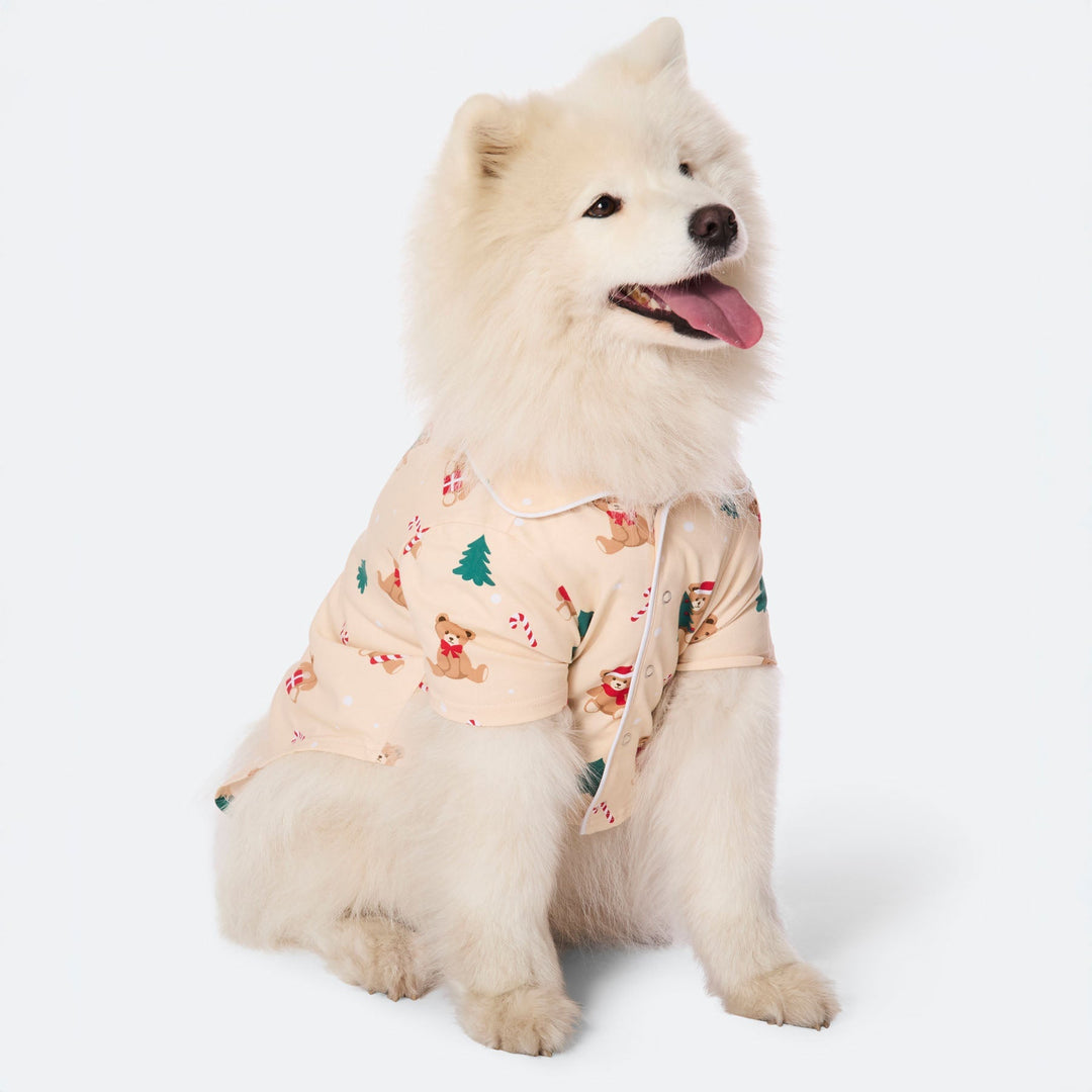 Teddybjörn Beige Julpyjamas Till Hund