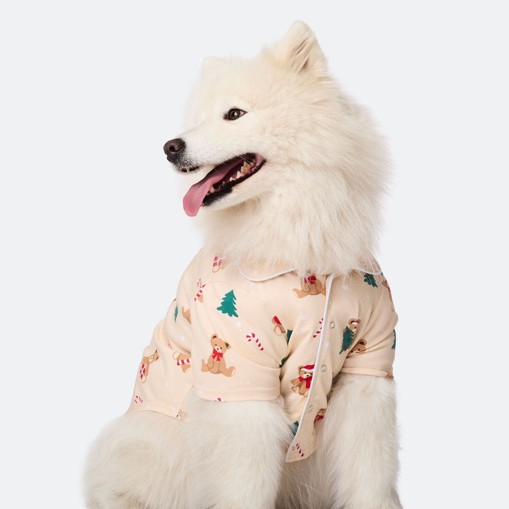 Teddybjörn Beige Julpyjamas Till Hund