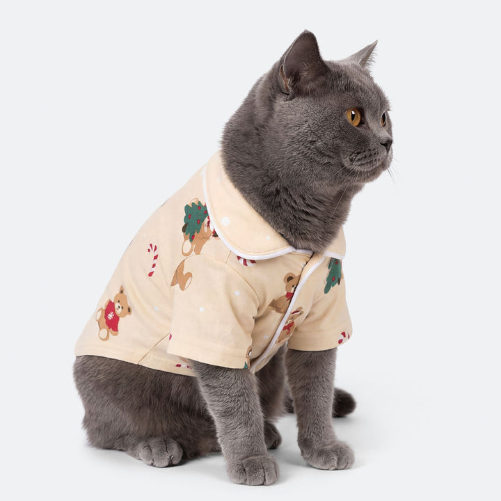 Teddybjörn Beige Julpyjamas Till Katt