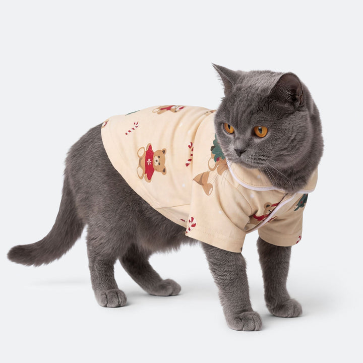 Teddybjörn Beige Julpyjamas Till Katt