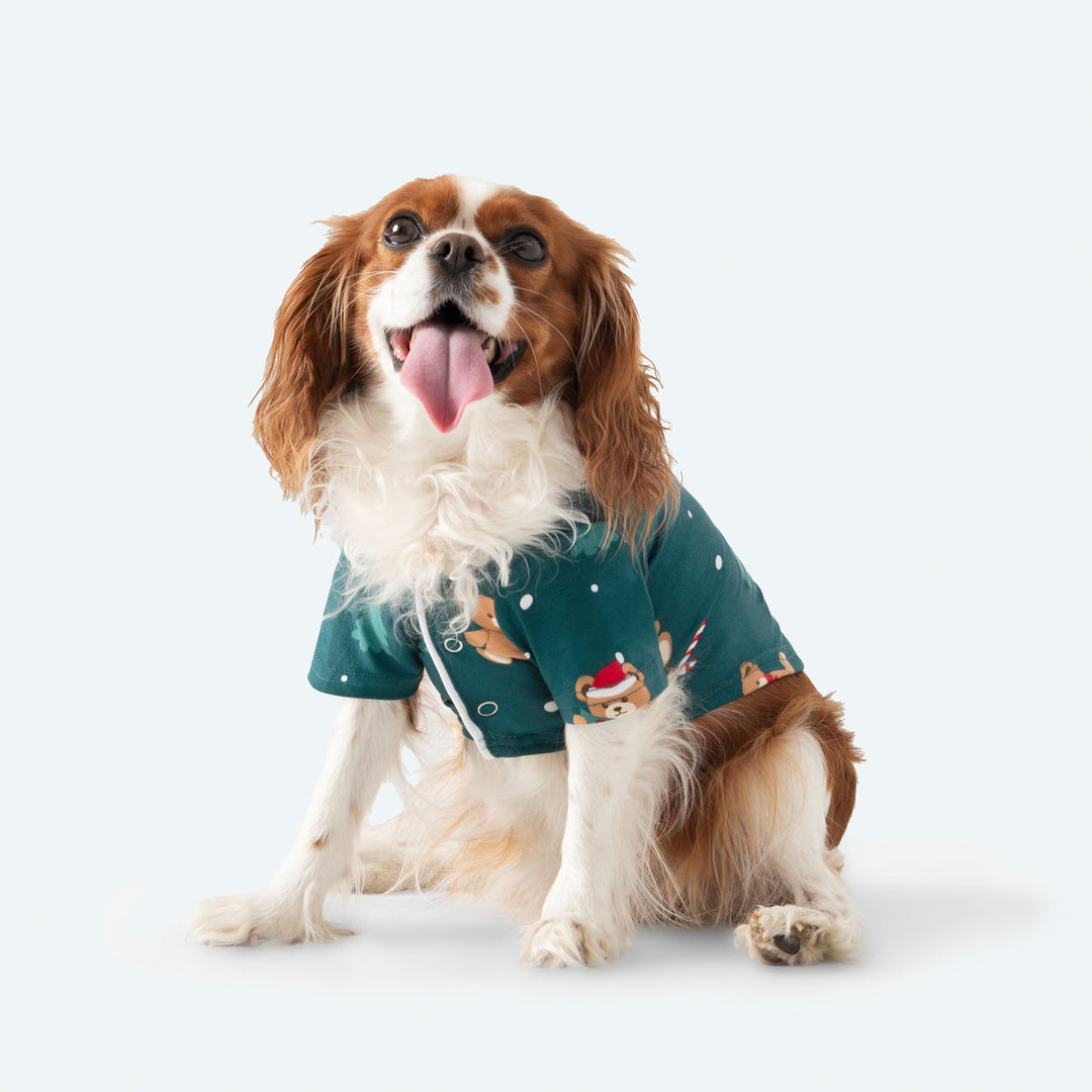 Teddybjörn Grön Julpyjamas Till Hund