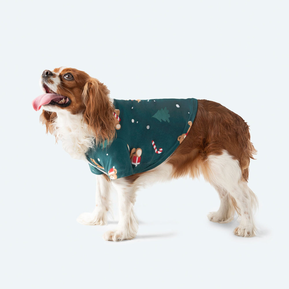 Teddybjörn Grön Julpyjamas Till Hund