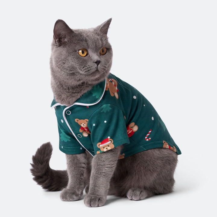 Teddybjörn Grön Julpyjamas Till Katt