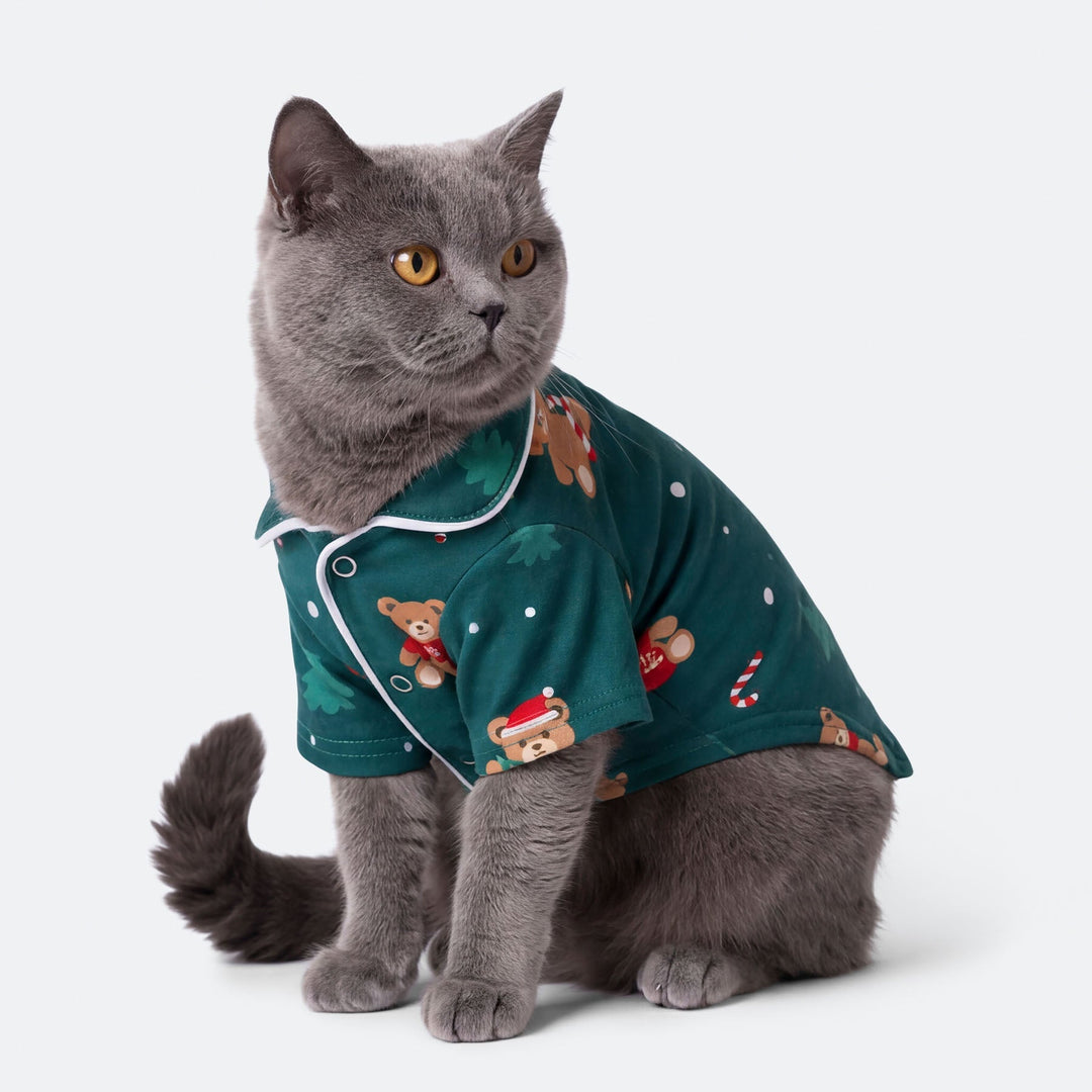 Teddybjörn Grön Julpyjamas Till Katt