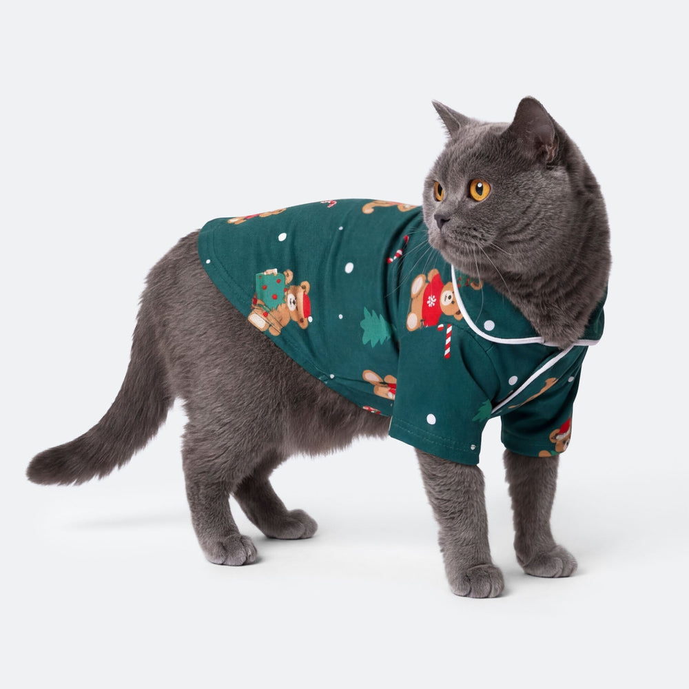 Teddybjörn Grön Julpyjamas Till Katt