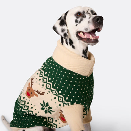 Retro Ren Grön Jultröja Till Hund