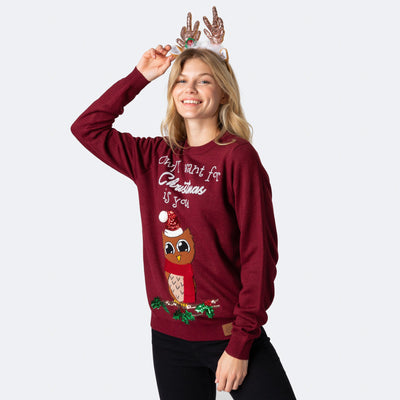 Owl I Want For Christmas Jultröja Dam